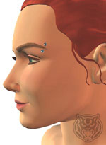 Augenbrauen-Piercing