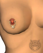 Brustwarzen-Piercing